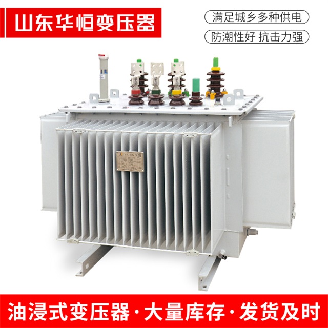 S13-10000/35麻阳麻阳麻阳电力变压器